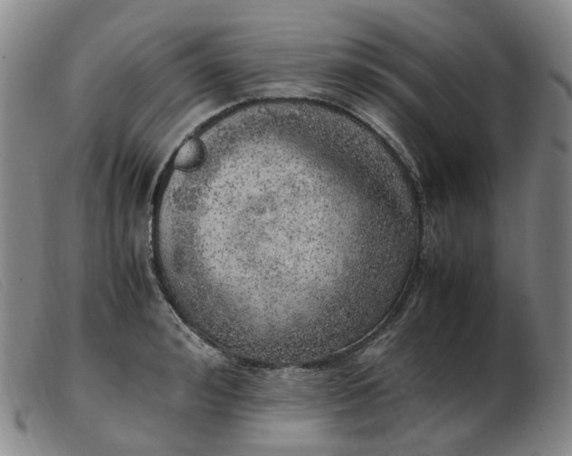 X0000103430992200809191656