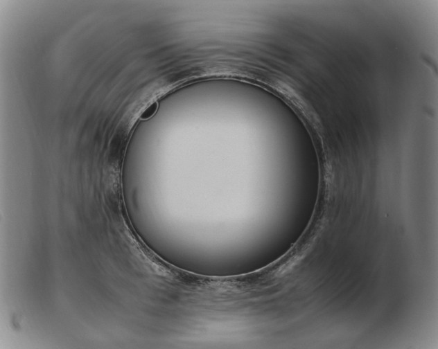 X0000103430993200809191656
