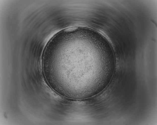 X0000103430996200809191656