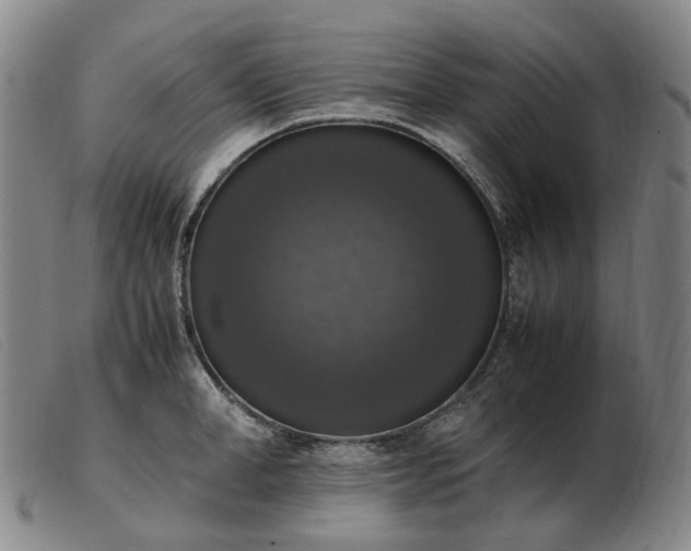 X0000103430998200809191656
