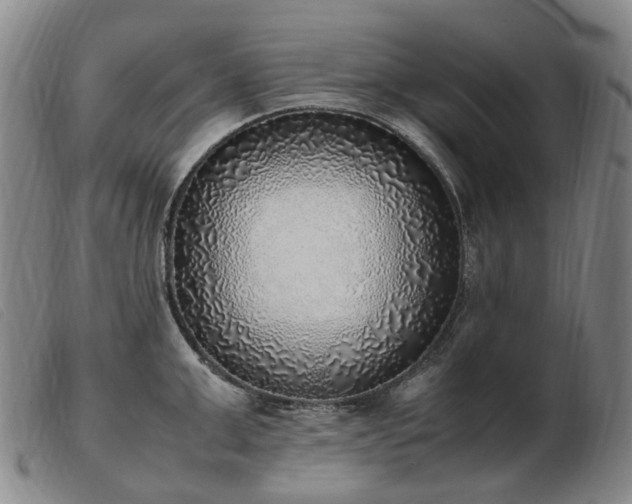 X0000103430999200809191656