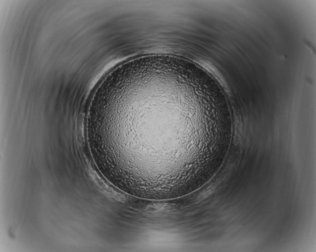 X0000103431000200809191656