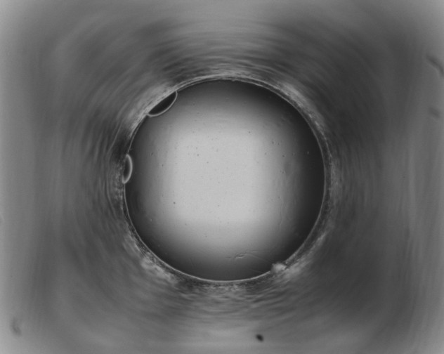 X0000103431001200809191656