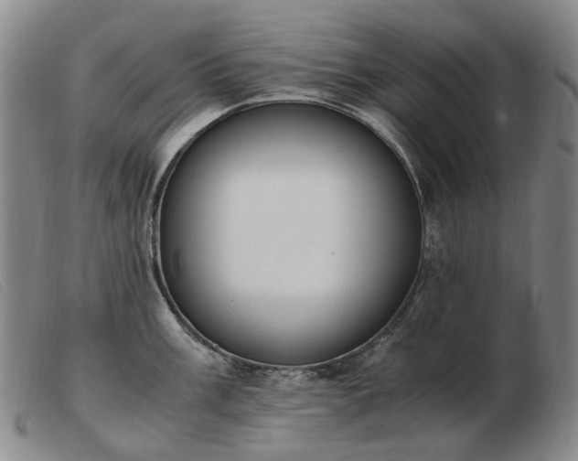 X0000103431003200809191656