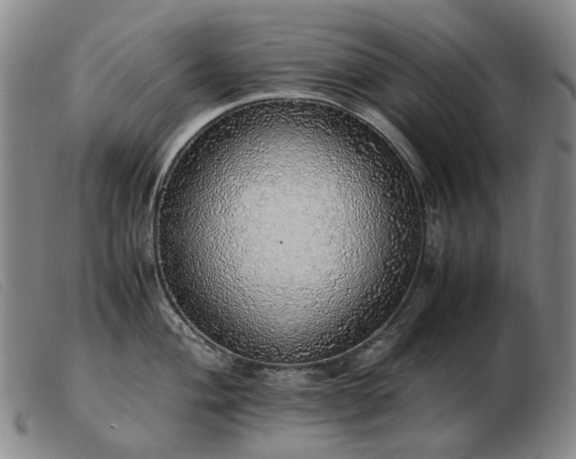 X0000103431004200809191656