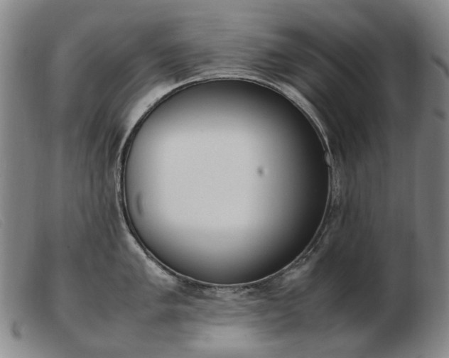 X0000103431005200809191656