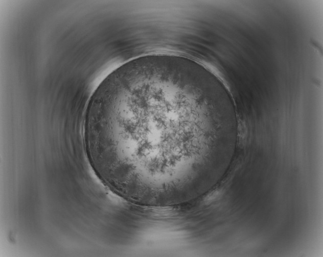 X0000103431007200809191656