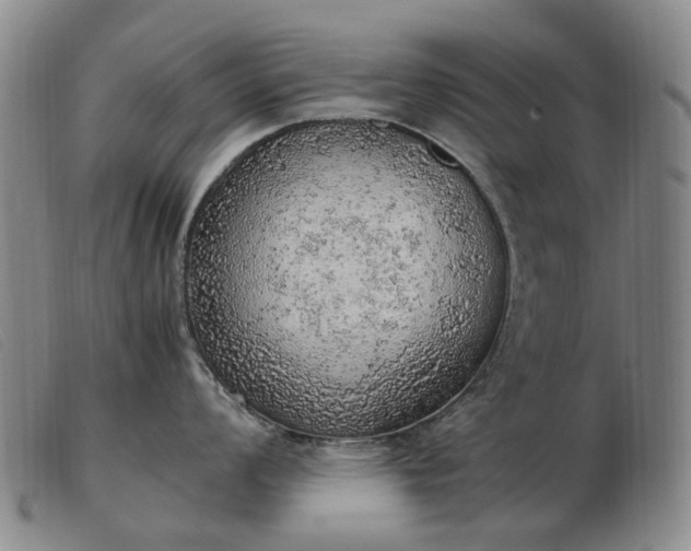 X0000103431008200809191656