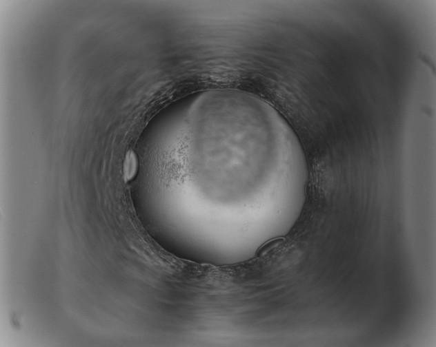 X0000103431009200809191655