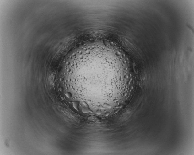 X0000103431010200809191655