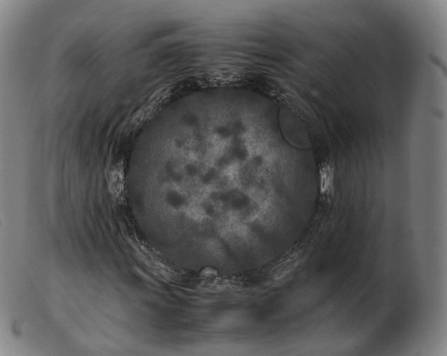 X0000103431011200809191655