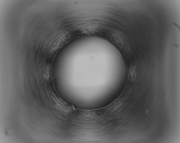 X0000103431012200809191655