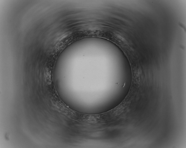 X0000103431013200809191655