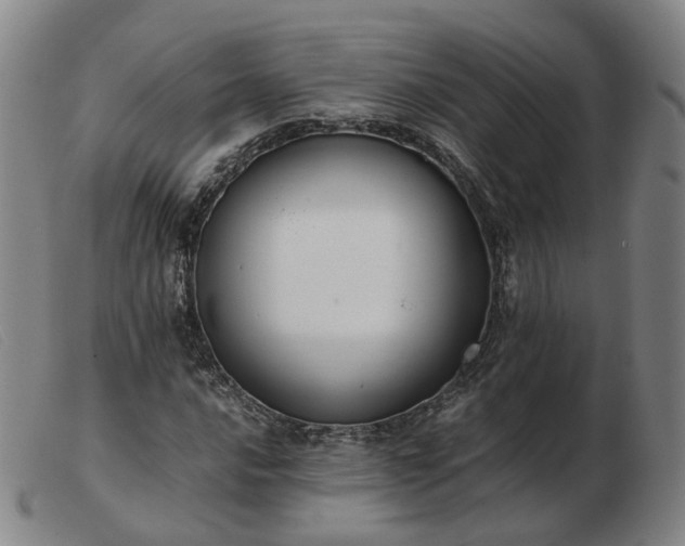 X0000103431016200809191655