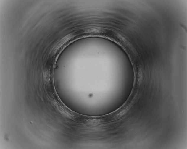 X0000103431017200809191655