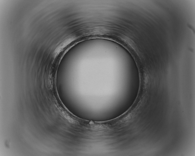 X0000103431018200809191656