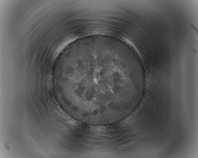 X0000103431019200809191656