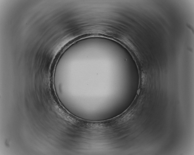 X0000103431020200809191656