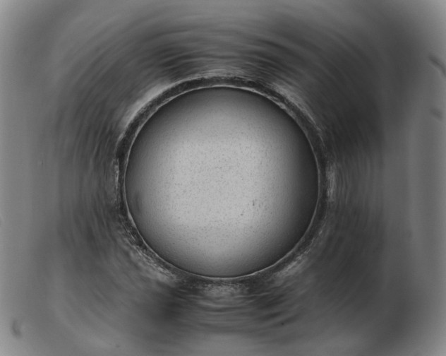 X0000103431021200809191656