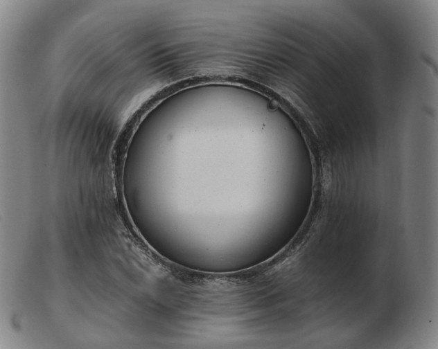 X0000103431022200809191656