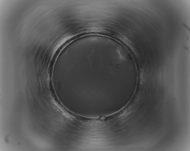 X0000103431024200809191656