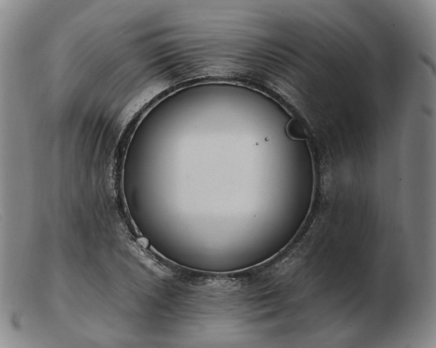 X0000103431026200809191656