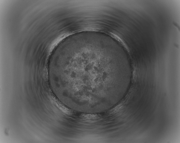 X0000103431027200809191656