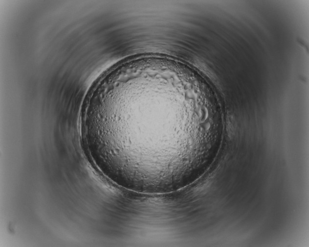 X0000103431028200809191656