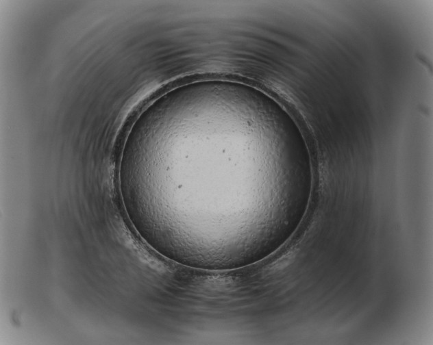 X0000103431029200809191656