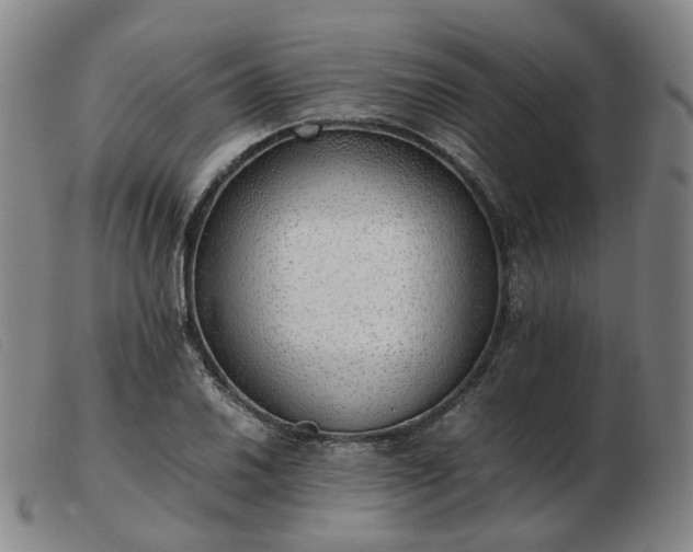 X0000103431030200809191656