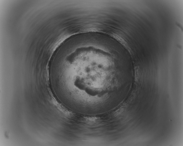 X0000103431031200809191656