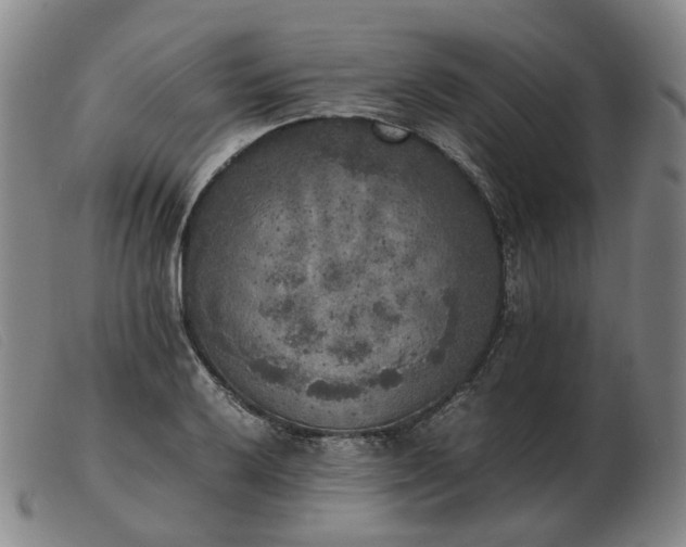 X0000103431032200809191656