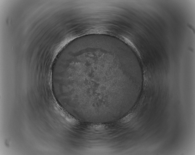 X0000103431035200809191656