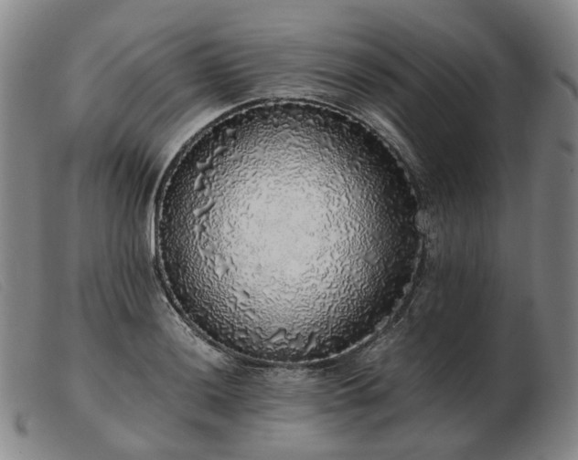 X0000103431036200809191656