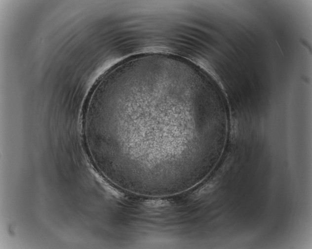 X0000103431037200809191656