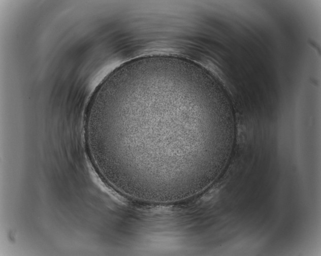 X0000103431038200809191656
