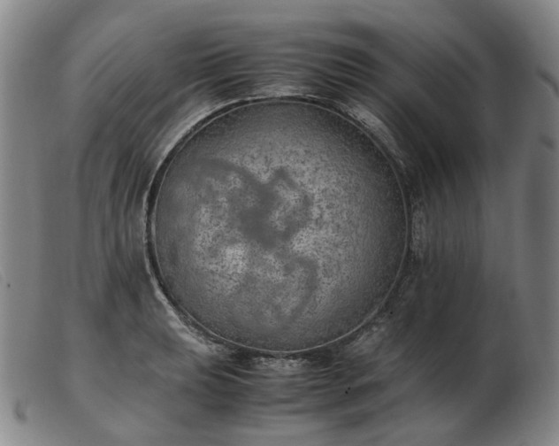 X0000103431039200809191656