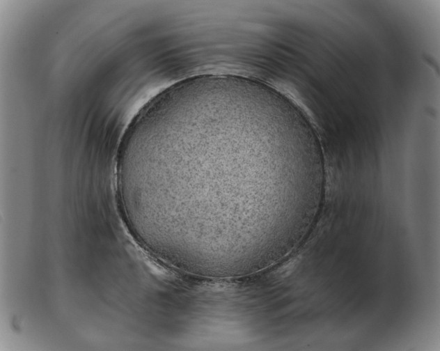 X0000103431040200809191656