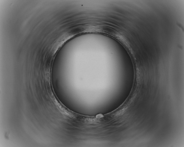 X0000103431041200809191656