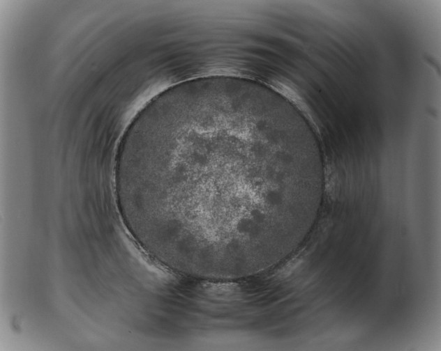 X0000103431043200809191656