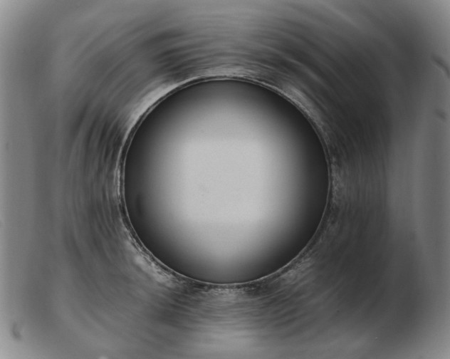 X0000103431044200809191656