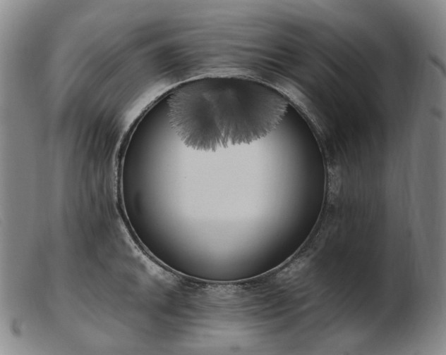 X0000103431046200809191656