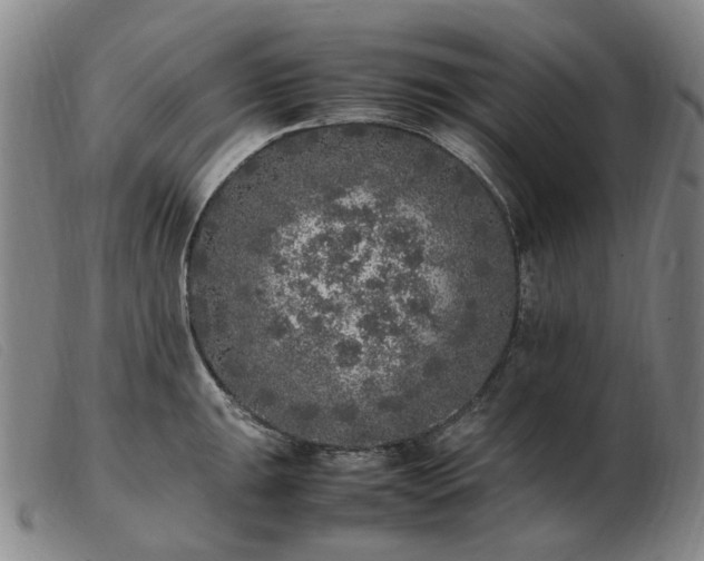 X0000103431047200809191656