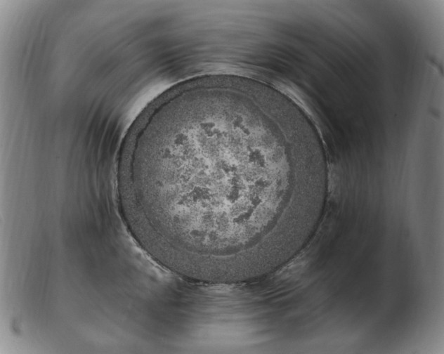X0000103431048200809191656