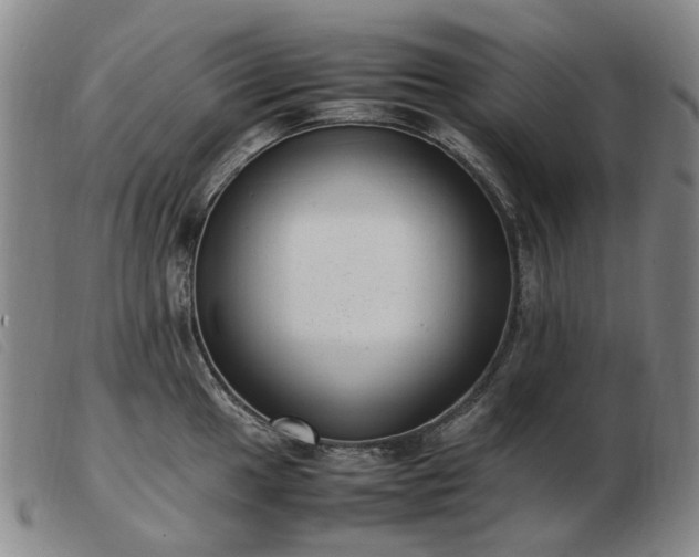 X0000103431049200809191656