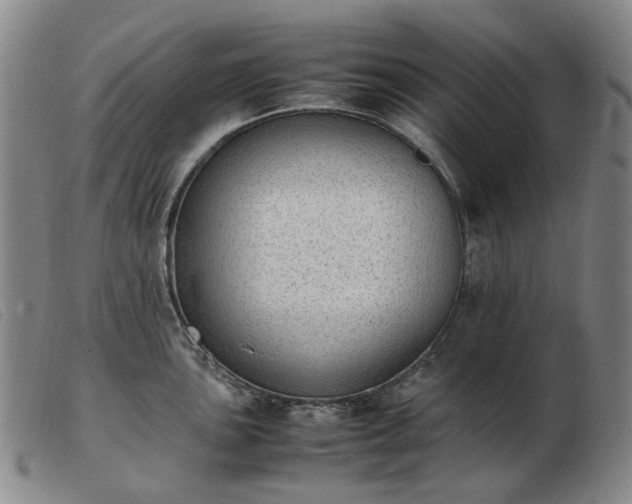 X0000103431051200809191656