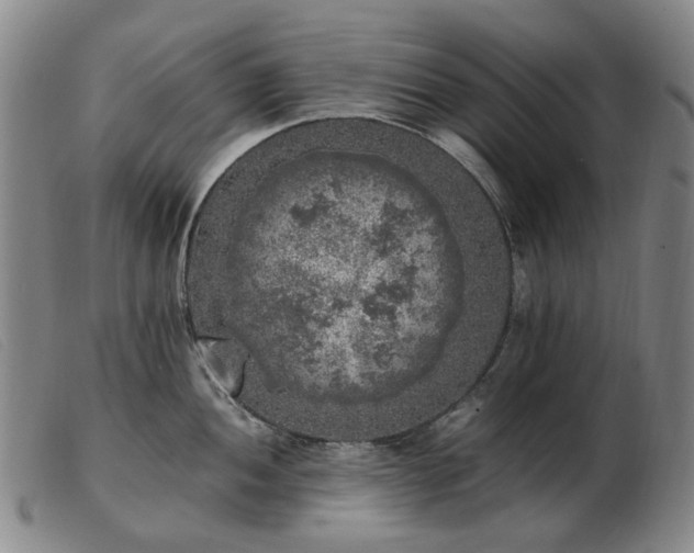 X0000103431052200809191656