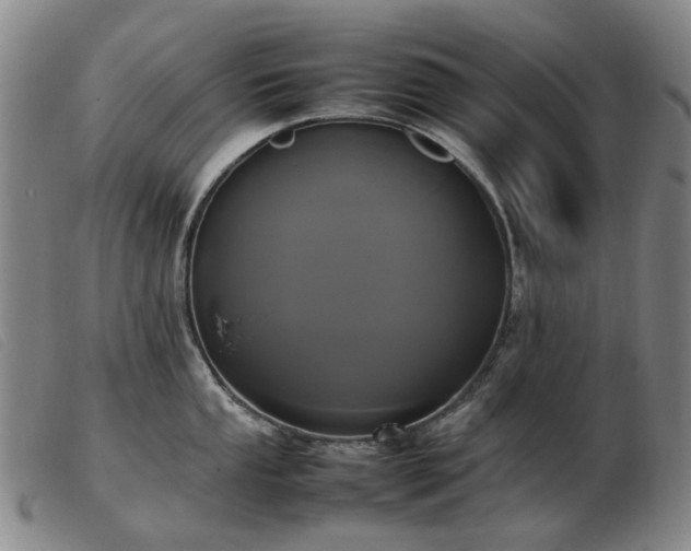 X0000103431053200809191656