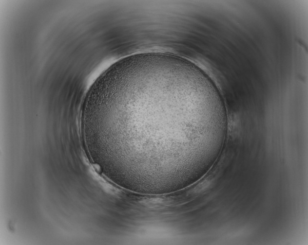 X0000103431054200809191656