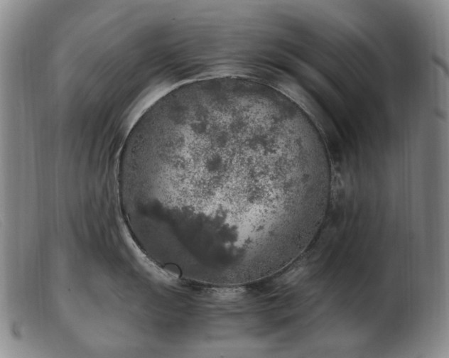 X0000103431055200809191656